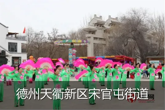 德州天衢新区宋官屯街道